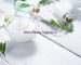 cosmetics-blog-1